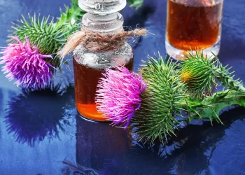 Brief History of Essential Oils: Unlocking the Secrets of Holistic Healing