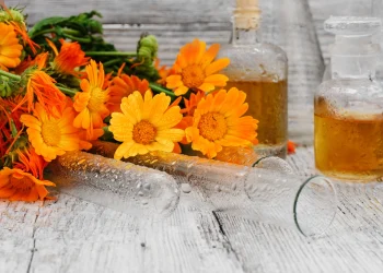 Essential Oils Basics