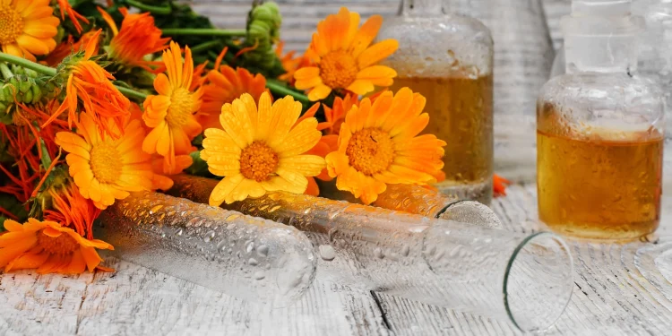 Essential Oils Basics