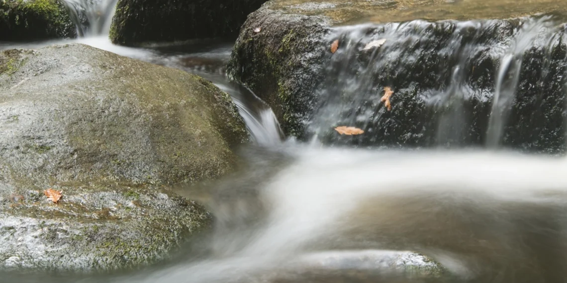 Bach Flower Essence: Rock Water